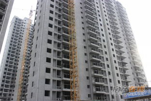 金煌天津港十一月最新工程进度 内外墙粉刷全面展开