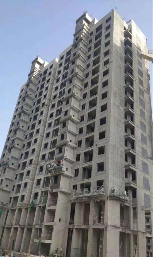 时光不负 匠心倾注 —— 建业森林半岛·上院最新工程进度 内外墙粉刷工程纪实